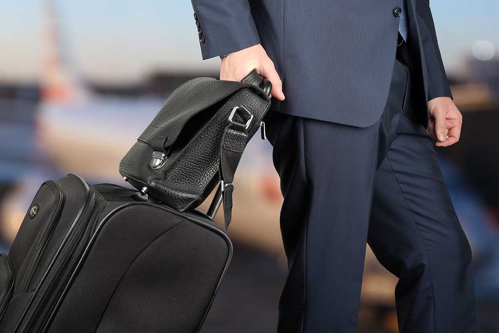 Useful Folding Bag Hanging Garment Bag Clothes Protector Case for Home  Travel